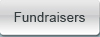 Bridge Fundraisers